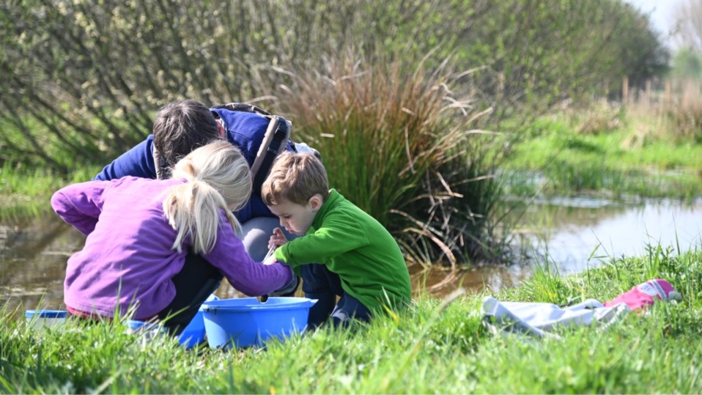 Environnement - Agglo Maubeuge Val de Sambre